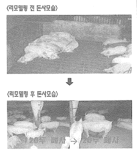 돈사리모델링전후.png